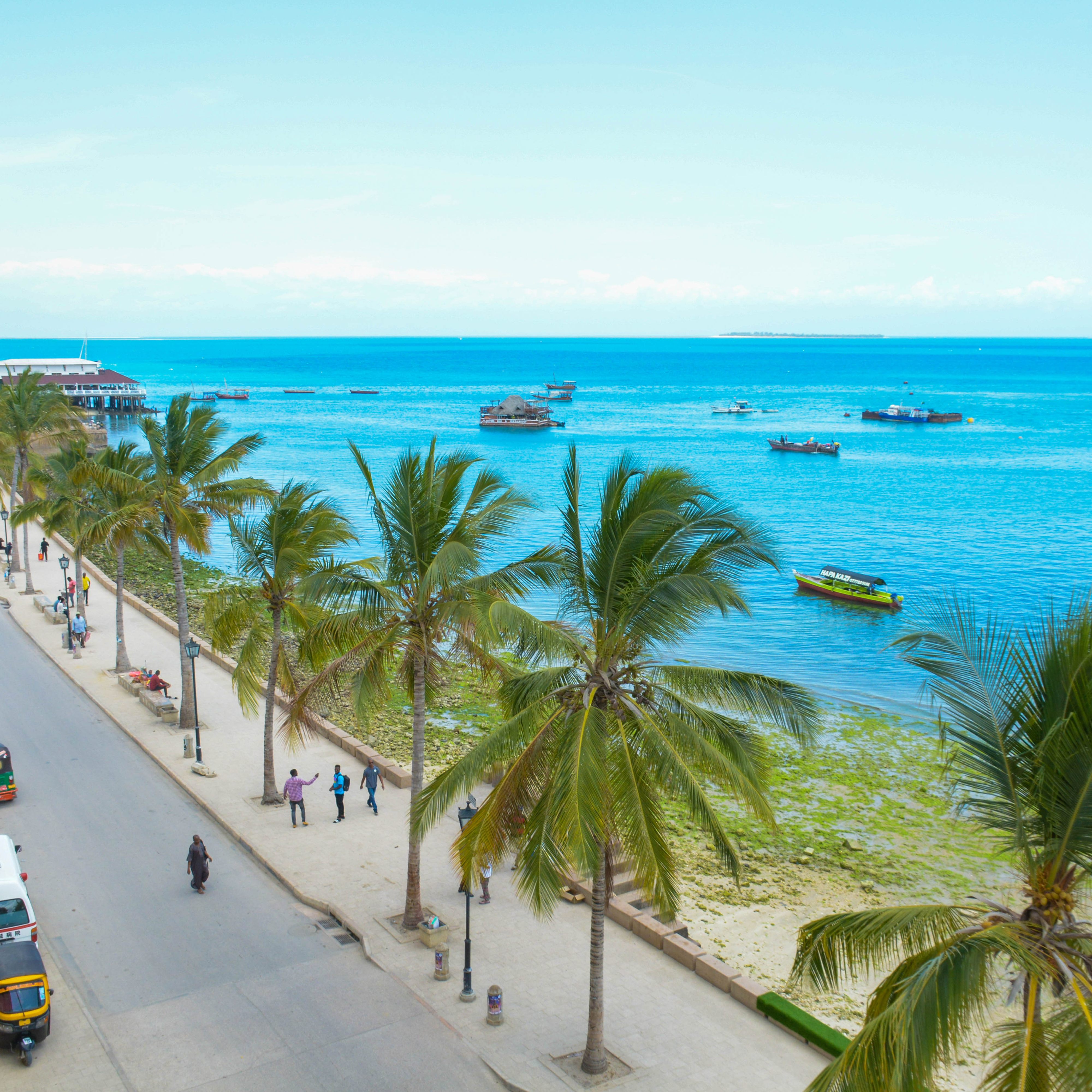Spice farm and stone town Zanzibar